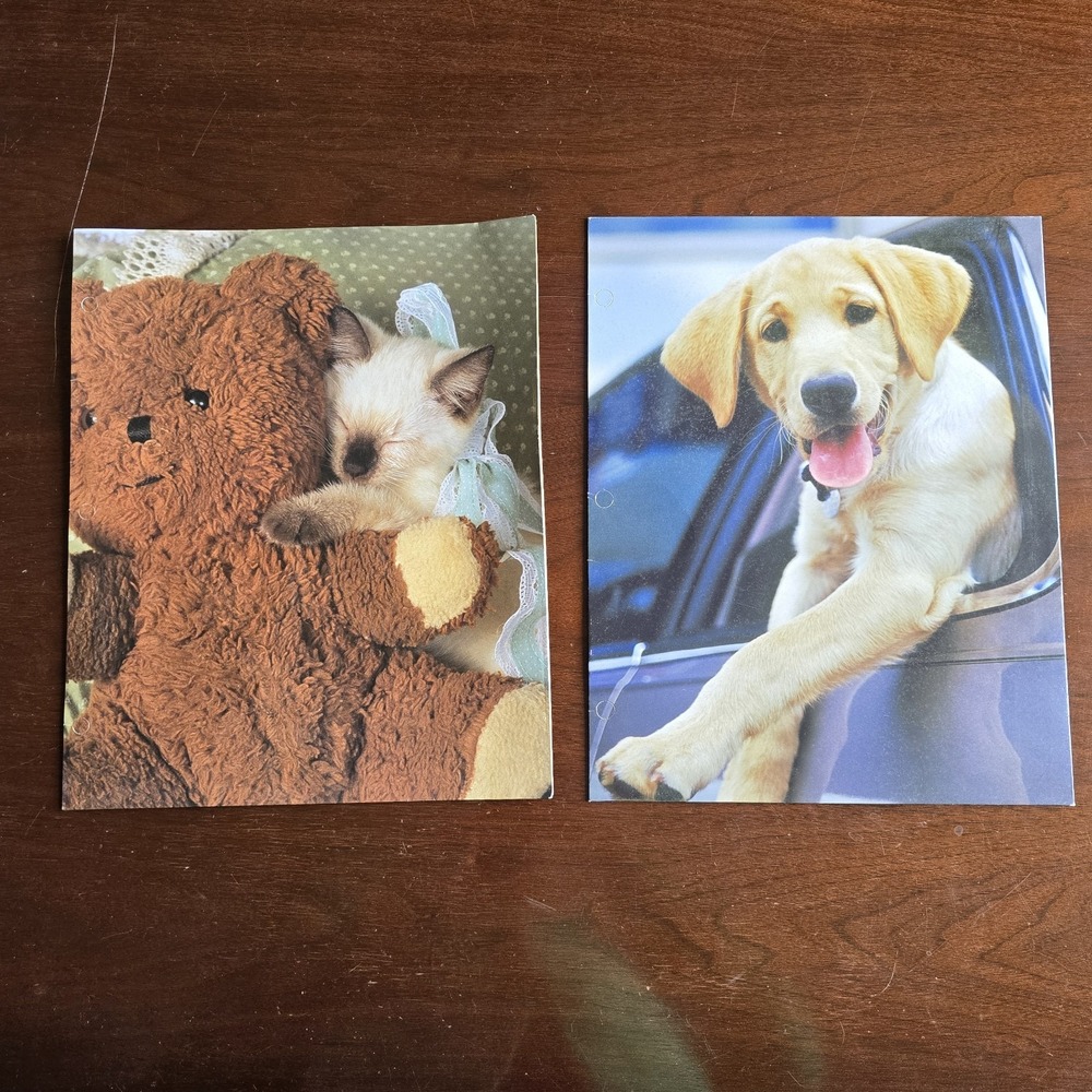 Vintage 2000s Mead Purrs Grrs Folder Lot Of 3 Y2K Cat Teddy Bear Puppy Fawn Deer